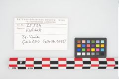 Etikett zu Bronzesitula (NHMW-PRAE-025524)